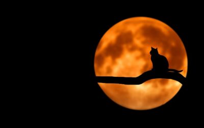 Full Moon 14th February, 2014
