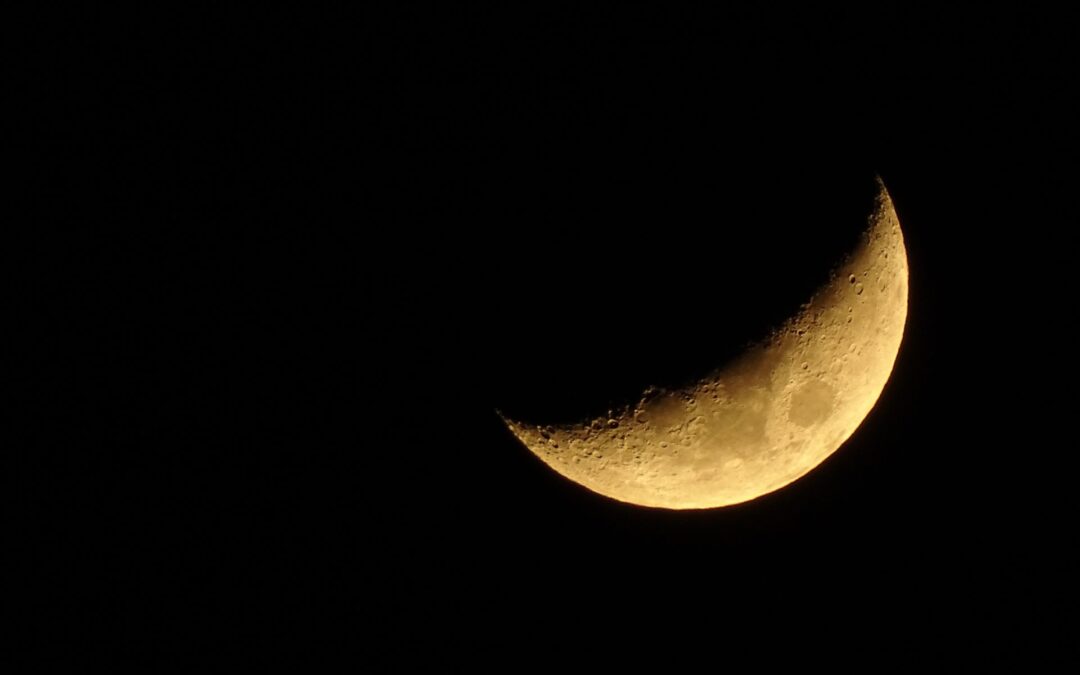 The Waxing Moon as a Business Guide